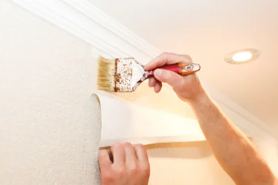 Pose de papier peint à Montrottier — revêtements muraux et toiles de verre